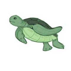 Turtle