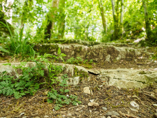 Sheer cliffs frame ancient ruins, reminiscent of past greatness, creating a mystical atmosphere and sense of time