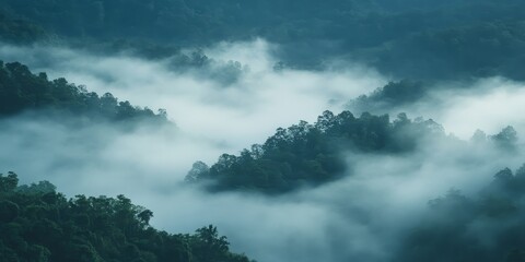 Misty morning fog creates a stunning fog landscape, offering a captivating fog view that enchants the senses and transforms the scenery into a serene and tranquil environment.