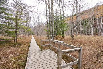 Located in the Sieur de Monts area of Acadia National Park, this boardwalk traverses a marshy wetland that is sparsely wooded. Fall has just ended, and most of the trees do not have leaves.