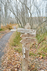 A guidepost gives directions to hikers in Acadia National Park. The arrows point to loop road, great meadow loop, hemlock path, strath eden, and hemlock trails.