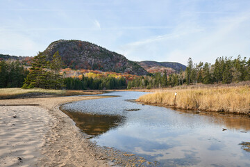 A freshwater stream leads to sand beach to meet the ocean in Acadia National Park. This area is called an estuary: where freshwater from rivers and streams mix with saltwater as it meets the ocean. 