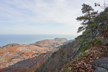 It is fall in Acadia, and most of the trees are brown and yellow, and many of them have already...