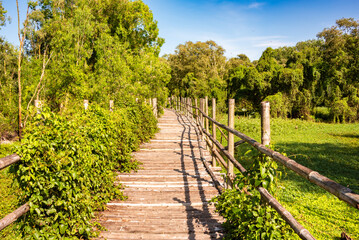Naklejka premium Wooden bridge in Vietnam among green tropical plants