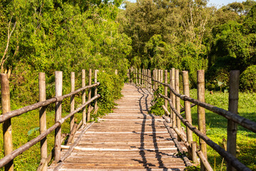 Wooden bridge in Vietnam among green tropical plants