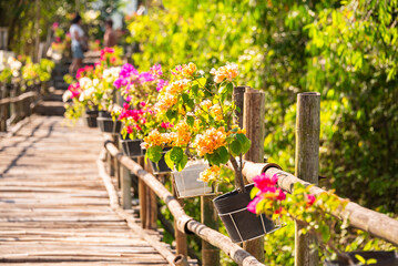 Wooden bridge in Vietnam among green tropical plants