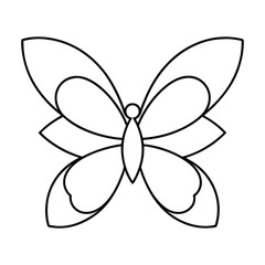Fototapeta premium butterfly mandala art