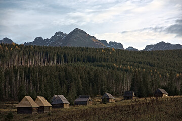 Traditional wooden shepherd huts in the Tatra Mountains landscape, Poland © Pawel