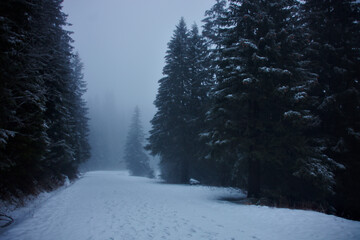 Droga na Morskie Oko - pora roku zima © Pawel