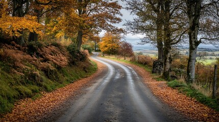 Naklejka premium Picturesque autumn rural road lined with colorful fall foliage and scenic countryside views : Generative AI