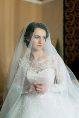A bride is wearing a veil and a white dress. She is looking at the camera. The image has a soft and...