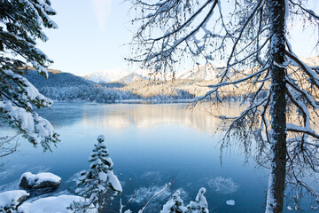 Winter trees and mountain reflection in the lake