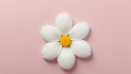 Flat Lay Single Pristine White Flower Delicate Petals Soft Pink Background Minimalist Elegance Microstock