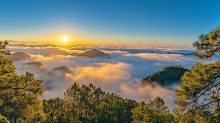 Fototapeta premium Sunrise Over Guilin with Misty Mountains and Gannan Pine Trees in Golden Hues. High-Definition Wide-Angle Backlit Photography.