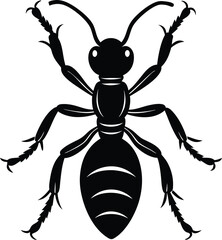 Velvet Ant silhouette vector illustration