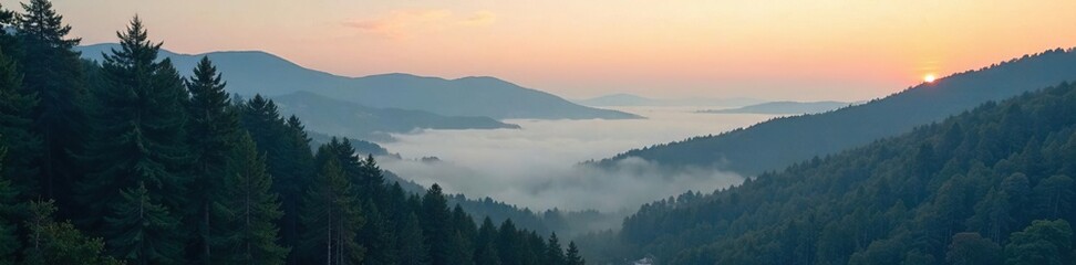 Fototapeta premium Foggy morning in a pine forest with misty valleys, natural, dawn