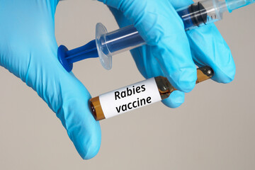Rabies vaccine text meaning explanation vaccination