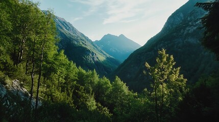 Obraz premium Breathtaking Mountain Forest Landscape with Sunlit Valley and Lush Greenery : Generative AI