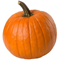 pumpkin isolated on white background