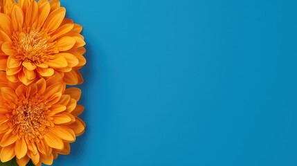 Bright Orange Flowers on Vibrant Blue Background for Fresh Aesthetic