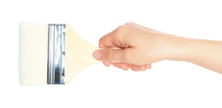 Woman hand holds paint brush, isolated on transparent background, construction works and renovation industry concept