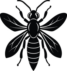 Wood wasp silhouette vector illustration
