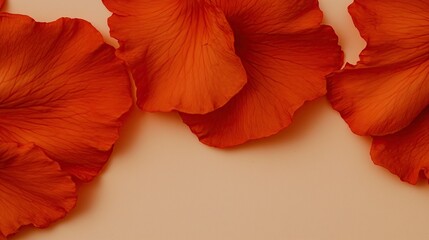Close-up of red flower petals on a beige background, minimal composition with space for text
