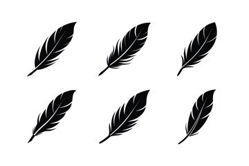 set of Feather Icon Silhouette on White Background