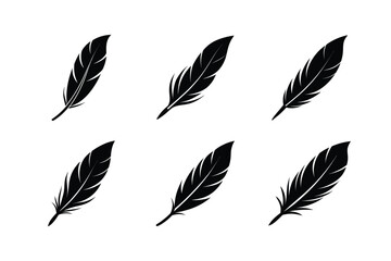 set of Feather Icon Silhouette on White Background