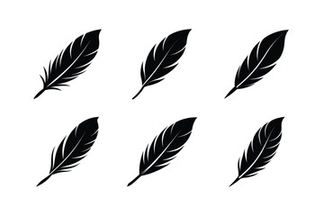 set of Feather Icon Silhouette on White Background