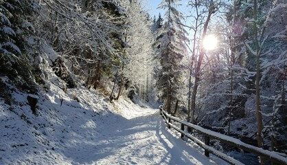 Winterlandschaft in den Alpen 