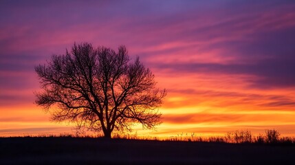 Obraz premium Silhouette of Lone Tree at Sunset with Vibrant Purple and Orange Sky : Generative AI