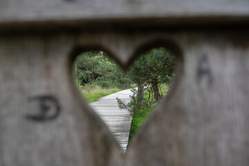A heart in cut out of wood in nature