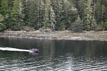A zodiak full of people head out for a day of whale watching in Alaska