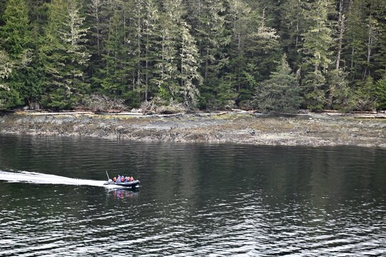 A zodiak full of people head out for a day of whale watching in Alaska