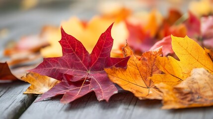 Closeup of Autumn Maple Leaves in Rich Hues of Red and Gold on Wooden Surface : Generative AI