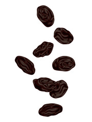 Fallen Dried raisins isolated on white background.perfect for wallpaper or design elements