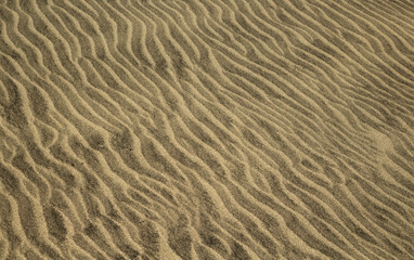natural sand pattern created by wind blowing differently sized and colored particles
