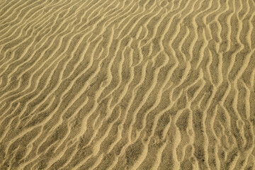 natural sand pattern created by wind blowing differently sized and colored particles
