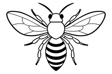 bee silhouette line art vector illustration with a white background