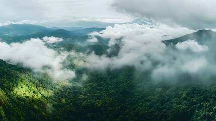 Fototapeta premium Lush Green Mountains Enveloped In Misty Clouds
