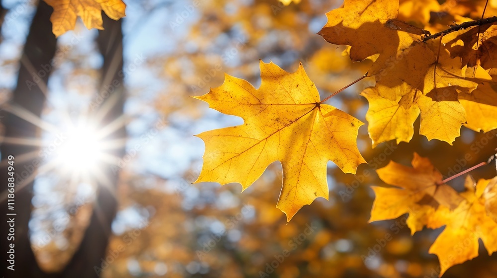 Poster golden autumn leaves with sunlight in tranquil forest setting : generative ai