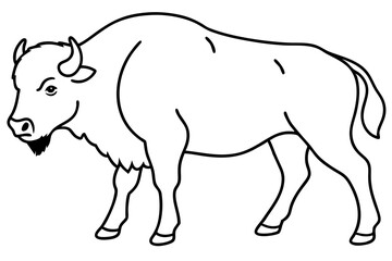 bison silhouette line art vector illustration with a white background