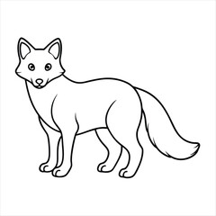 Arctic fox  line art
