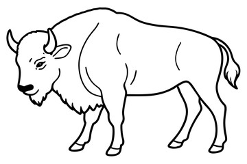 bison silhouette line art vector illustration with a white background