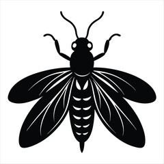 Firefly silhouette vector illustration on white background