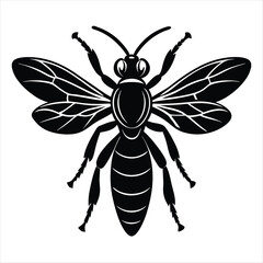Gall Wasp Silhouette vector with white background