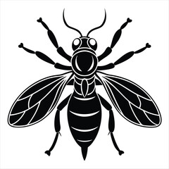 Gall Wasp Silhouette vector with white background