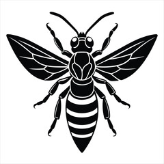 Hornet Silhouette vector with white background