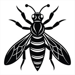 Hornet Silhouette vector with white background